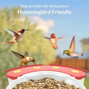 Netvue Birdfy Hummee - Hummingbird friendly