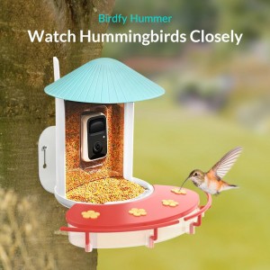Netvue Birdfy Hummee