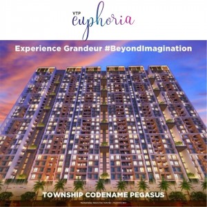 With a New Township VTP Pegasus