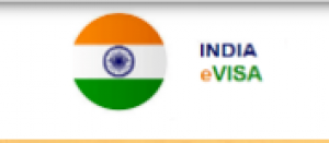 Celebrate The New Year in India with the Hassle-free Indian e-Visa Services