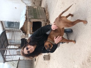 Red Shed Founder - Sandy Sheerin