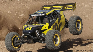 Best RC Cars For Adults