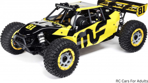 RC Cars For Adults