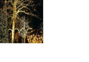 Solar Light