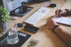 Digital Realm: A Reliable Digital Advertising Agency in Tauranga