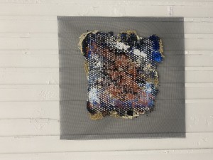 Mixed Media on Net Screen