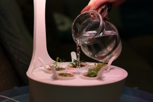 The Vitæ Halo indoor garden is made from 100% bio plastics and grows fresh herbs from organic seeds