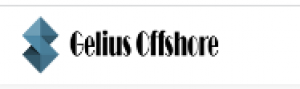 Set Your Business Offshore and Go Global with Gelius Offshore’s Efficient Management 
