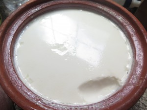 Naturally thick and creamy yogurt in Miriams