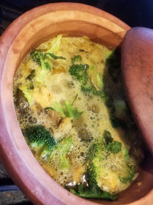 Chicken soup with broccoli and potato in MEC