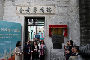 Overseas Chinese International Cultural Exchange Base