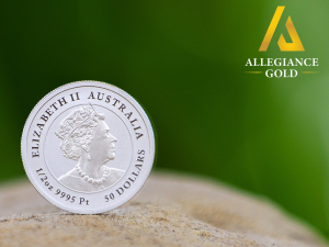 White Bellied Sea Eagle Queen Face