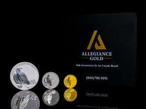 White Bellied Sea Eagle