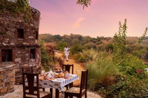 Best Jungle Resorts In Rajasthan