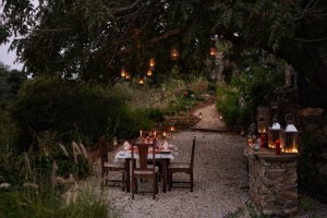 Wildlife Resort In Udaipur