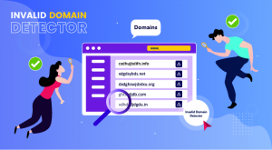 invalid domain detector