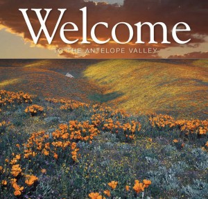 Successful Youth Services at TTC