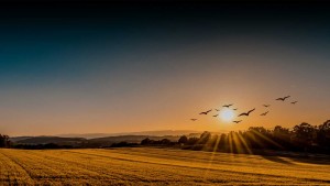 Godrej Plots Kurukshetra