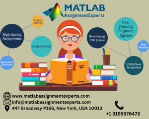 matlab assignment experts