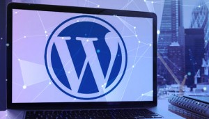 WordPress Web Development
