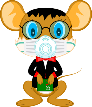 История Dumschool и мышонка Дум Думыча