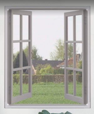 La Nest Mosquito Net For Windows