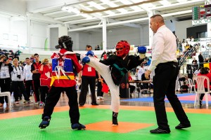 Martial arts training