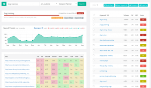Keysearch Pro Introduces Revolutionary Keyword Research Tool for Digital Marketers