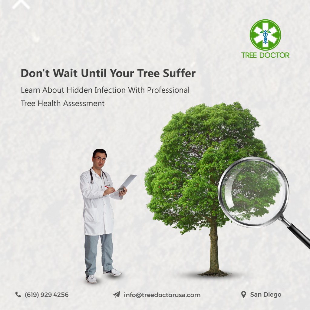 Tree Doctor USA Is Offering A Full Range Of Professional Tree Services