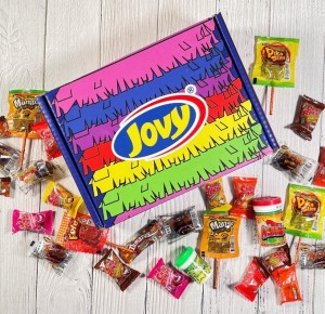 Mexi-Land Partnered with Dynamics Square for Dynamics 365 Business Central Implementation