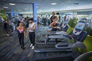 Cardio Equipment