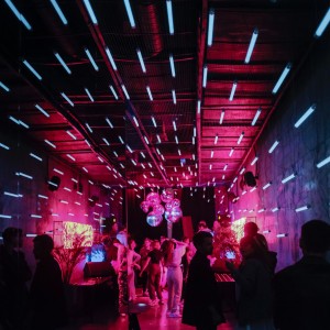 Stock photo figure2: Nytelife