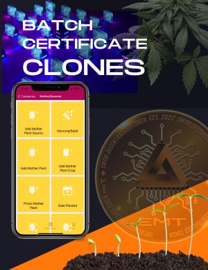 Batch Certificate Clones
