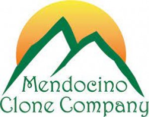Mendocino Clone Company logo