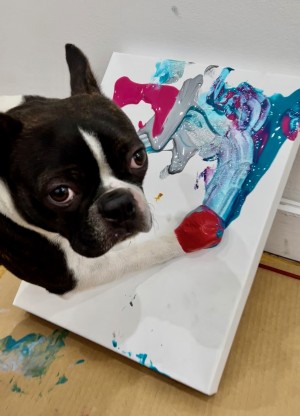 Jackson Pawlick The Painting Dog