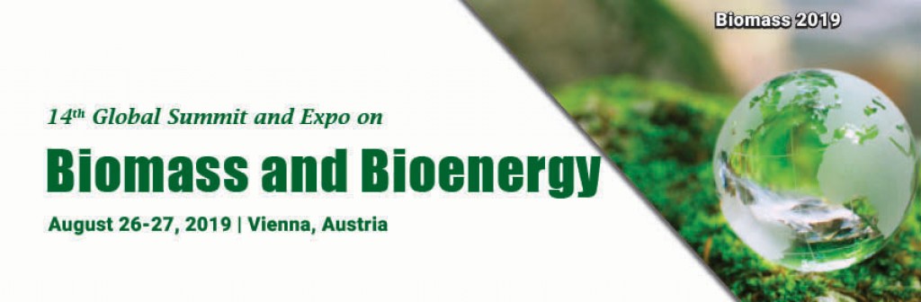 biomass 2019 biomass 2019