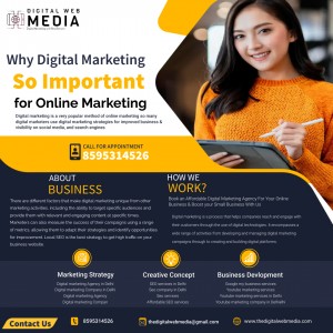 Google my business services