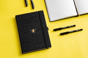 Dingbats* Pro Notebook