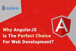AngularJS Development Provider Company