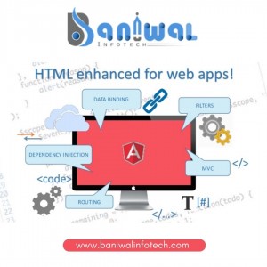 AngularJS Development Provider
