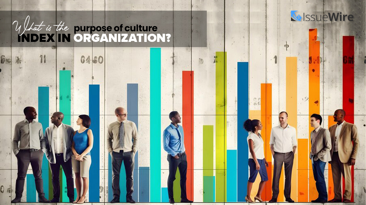 What is the Purpose of Culture Index in Organization?