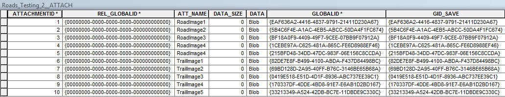 Image of the appended table
