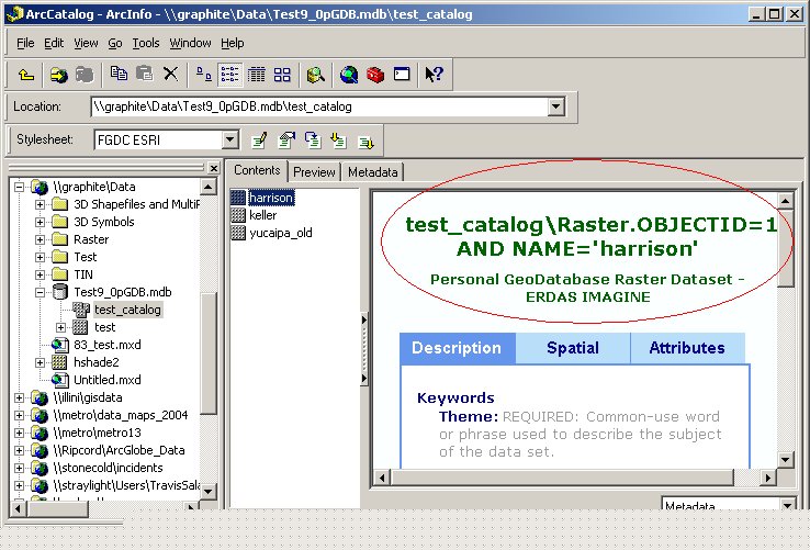 How To Modify a raster catalog to store metadata for each raster in a