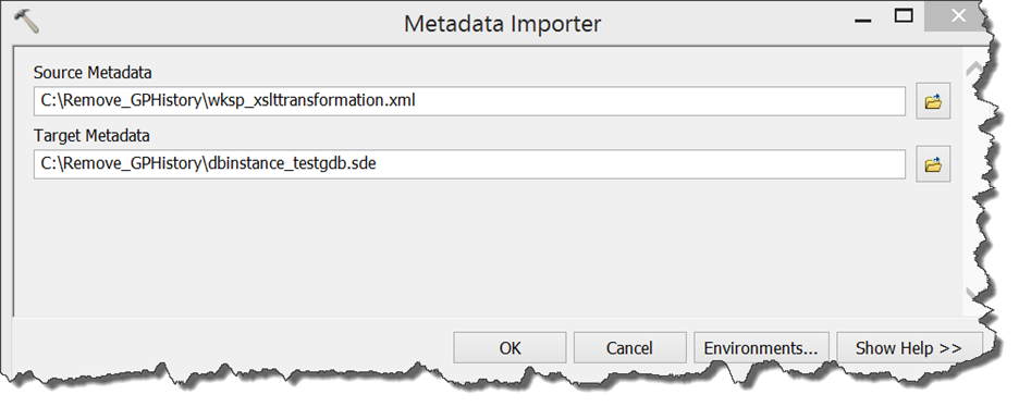 A janela da ferramenta Importador de Metadados com os parâmetros apropriados preenchidos.