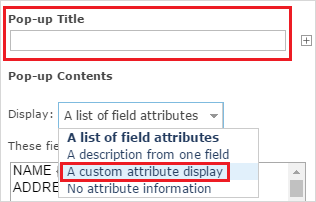 Select 'A custom attribute display'