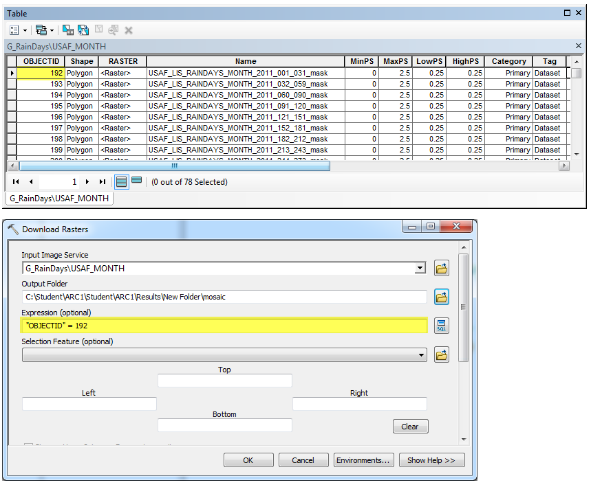 栅格属性表显示了 OBJECTID 的列表,“下载栅格”工具窗口显示了工具的参数。