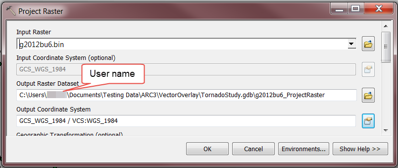 Project Raster tool window