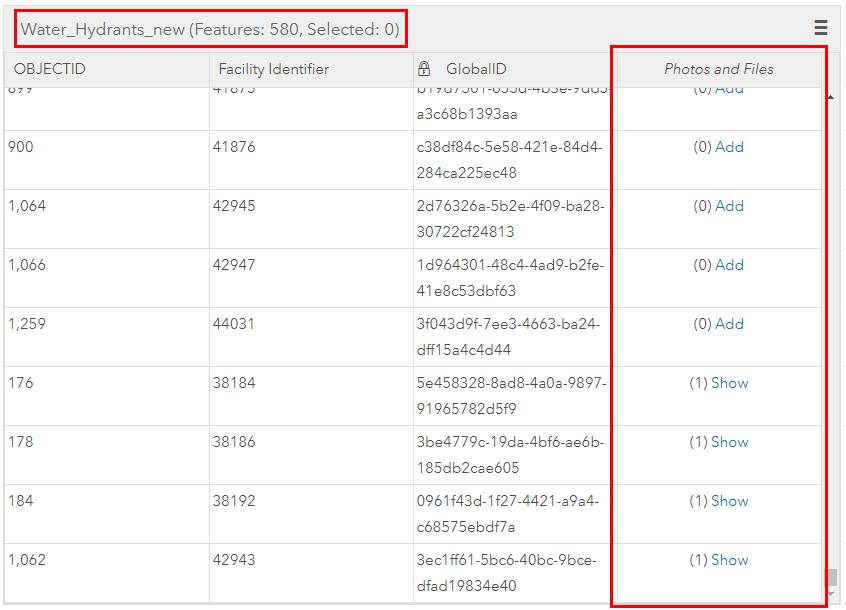 An image displaying the attributes of the appended hosted feature layer containing the retained attachments.