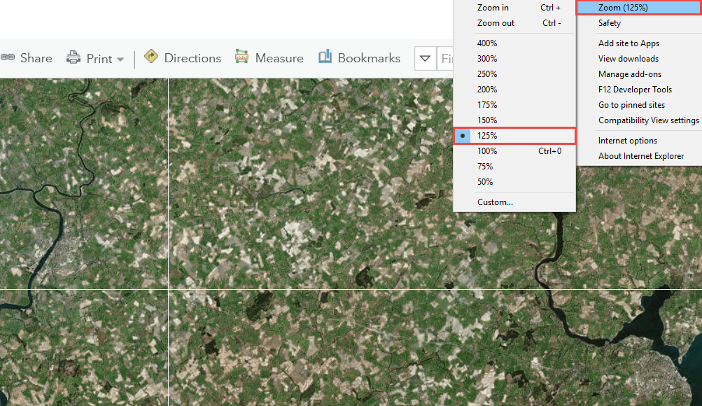 Nível de zoom de 125% no ArcGIS Online