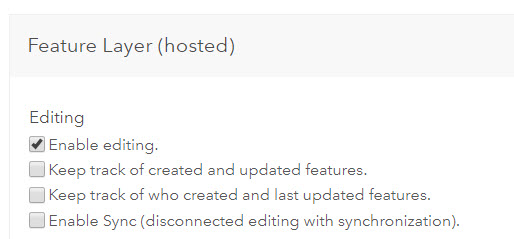 Screenshot of Enable editing while the other options are unchecked.